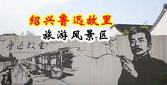 插射爽视频中国绍兴-鲁迅故里旅游风景区